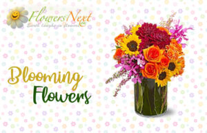 Send Flowers to Kenya