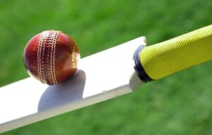 Fantasy cricket